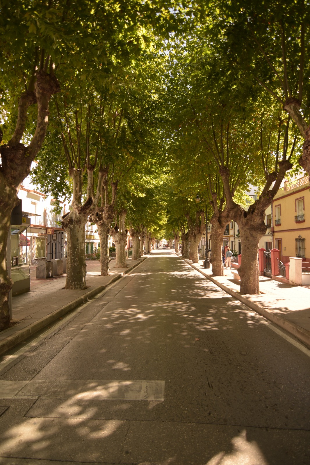 Ubrique en «De Barrio en Barrio»